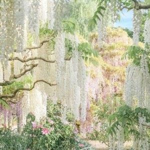 Meet your Posher, Sally